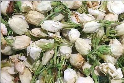 福州茉莉花特产有哪些店