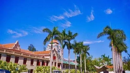 广州到厦门旅游攻略7月