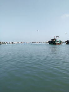 湛江去厦门旅游攻略图片