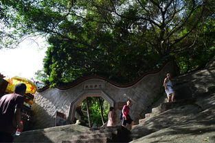 厦门旅游晴天攻略大全