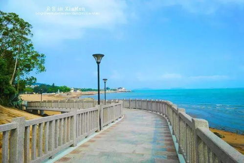 厦门超详细旅游线路攻略