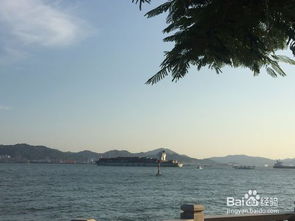 8月份新疆旅游厦门攻略