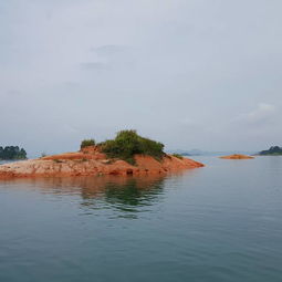 万绿湖旅游攻略厦门美食