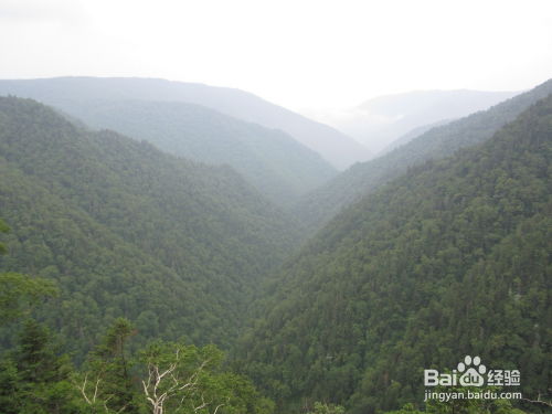 厦门市凤凰山旅游攻略