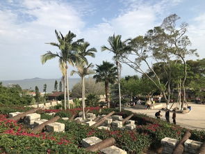 厦门5小时旅游攻略图文