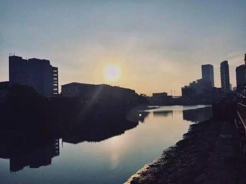 厦门旅游攻略沙坡尾民宿