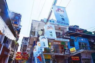领养猫厦门旅游攻略五天