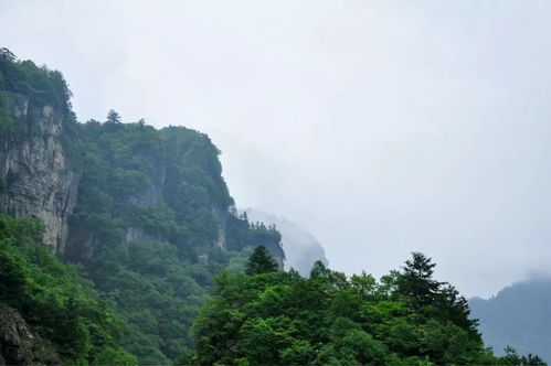 神农架旅游攻略厦门民宿