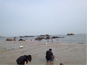 穷游厦门旅游攻略两天
