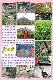 厦门旅游归来攻略图文版