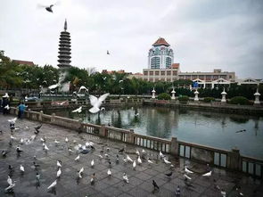 厦门旅游攻略5天4晚行程