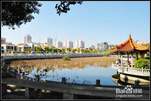 厦门普陀区旅游攻略图片