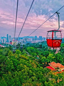 凤凰山旅游攻略厦门探店