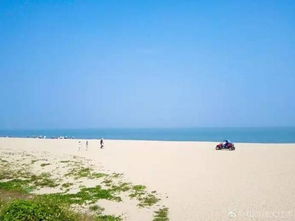 厦门7月带娃旅游攻略图