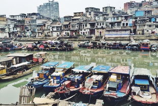 厦门带7个月娃旅游攻略