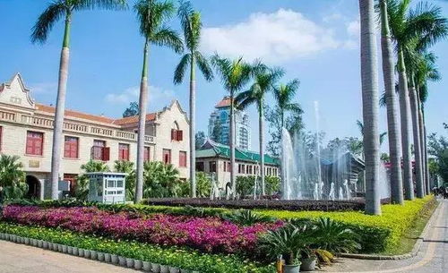 厦门旅游一周年攻略
