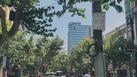 厦门三天两晚旅游攻略图