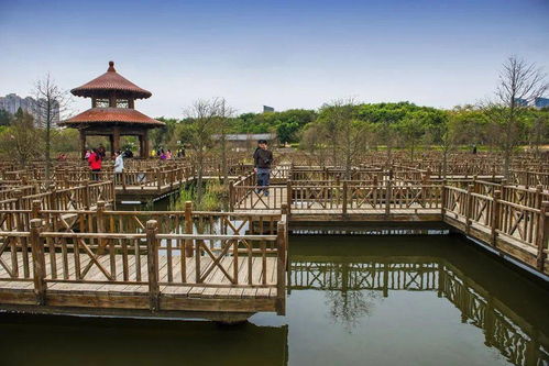 厦门湿地旅游攻略一日游