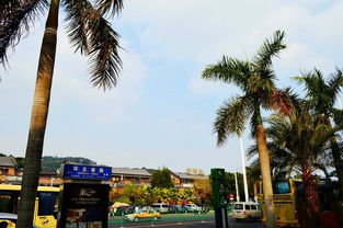 厦门人去哪旅游攻略图片