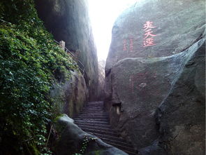 三日两夜游厦门旅游攻略