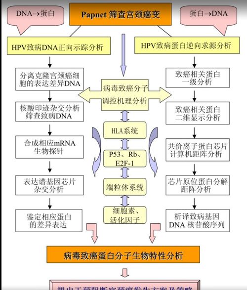 厦门旅游攻略一日流程图