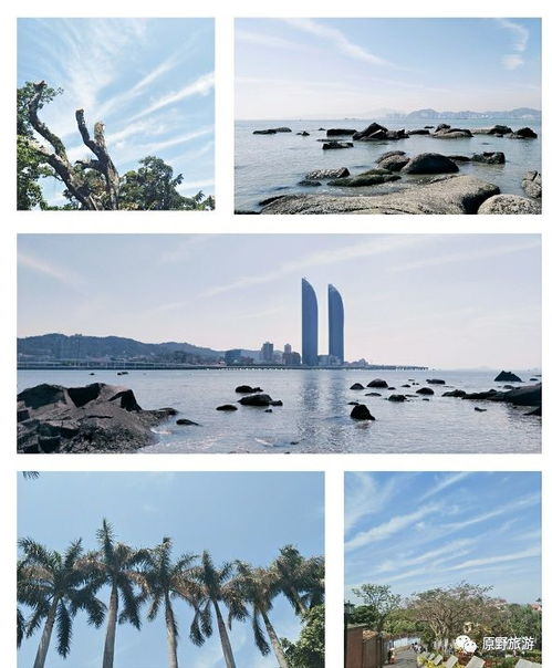 四年级厦门旅游攻略
