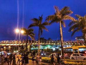 厦门旅游七天五夜攻略图