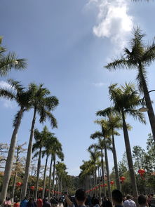 厦门二月末旅游攻略图