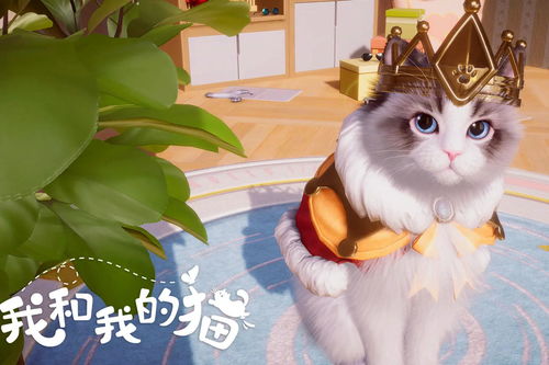 拜金的猫有哪些游戏