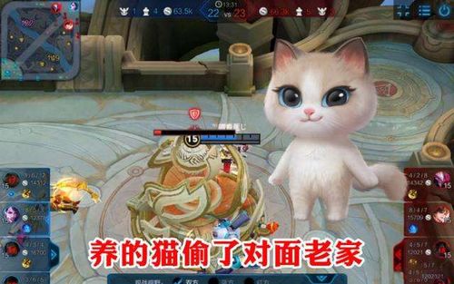 套房养猫攻略游戏