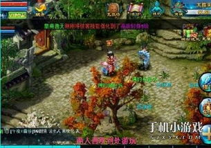 神雕侠侣游戏攻略视频