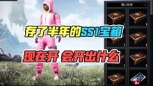 佬丝鸡游戏攻略
