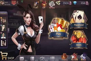 雅安游戏力产品有哪些