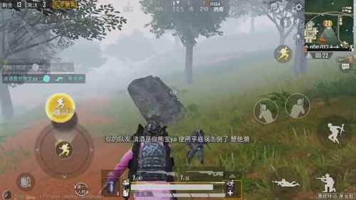 免费的游戏视频有哪些