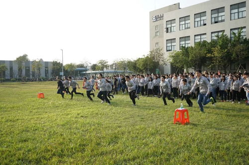 团队翻纸牌游戏攻略