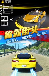 赛车有哪些是官方的游戏