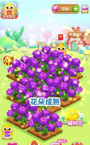 全民养花的游戏有哪些花