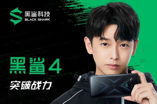 黑鲨手机代言游戏有哪些