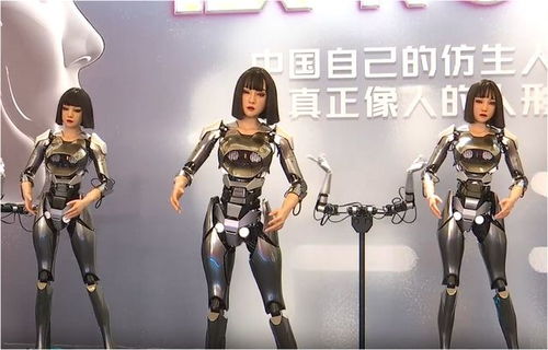 人形机器游戏攻略视频