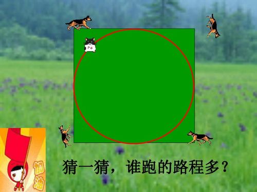 圆的周长课堂游戏有哪些