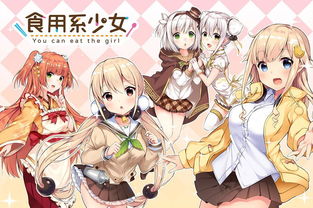少女买房记汉化攻略游戏