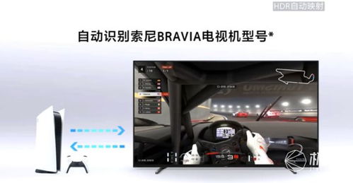 电视上的驾驶游戏有哪些