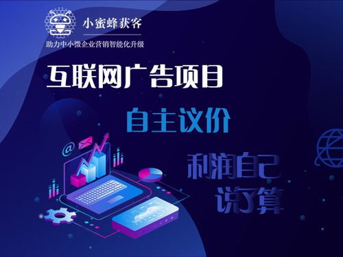 赚钱看广告项目