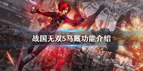 战国无双2游戏购买攻略