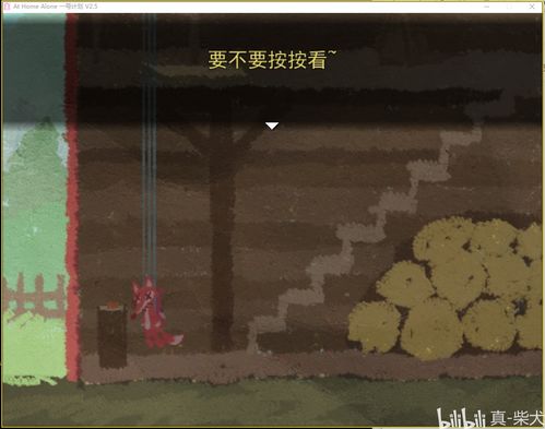 独自在家游戏攻略石头