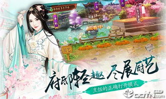 选择出生的宫廷游戏攻略