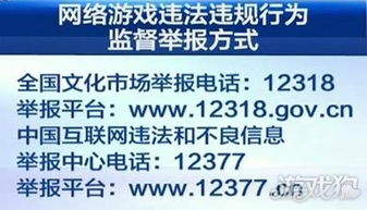 违规网络游戏有哪些举报