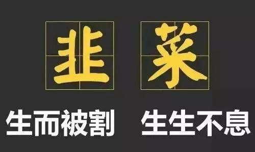 看广告视频赚钱项目