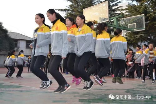 高中新年活动游戏有哪些