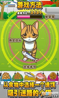 游戏小猫回家攻略手机版